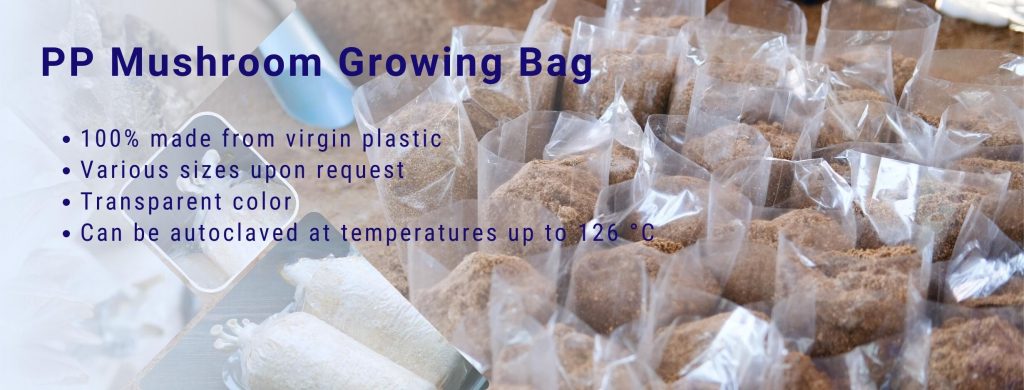PP Mushroom Growing Bag
