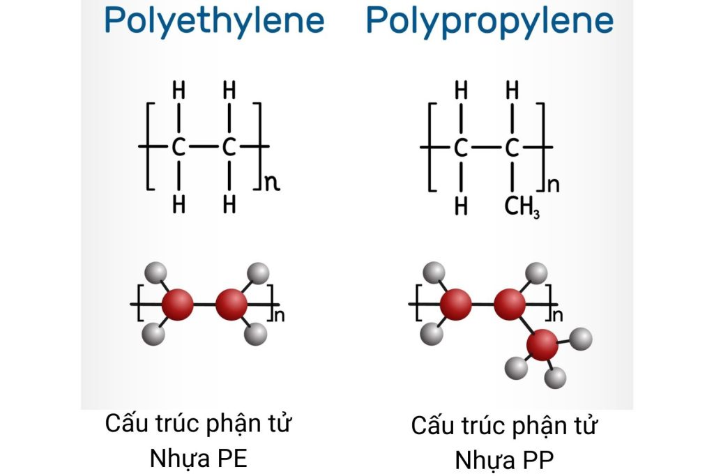 Cấu trúc phân tử PP và PE