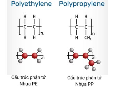 Cấu trúc phân tử PP và PE