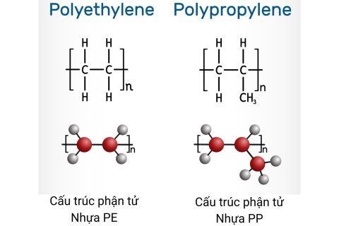Cấu trúc phân tử PP và PE