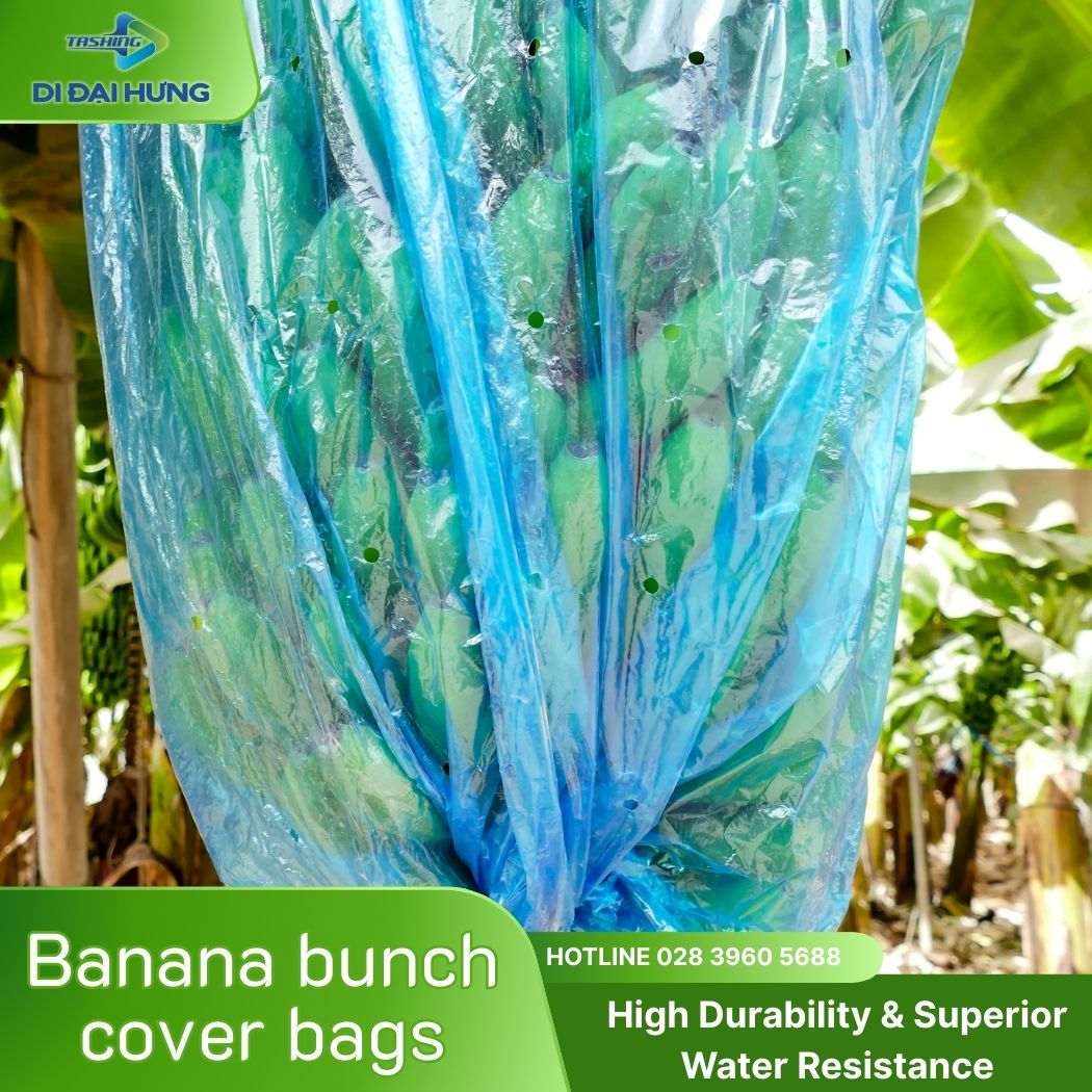 Banana bunch cover bags (3)