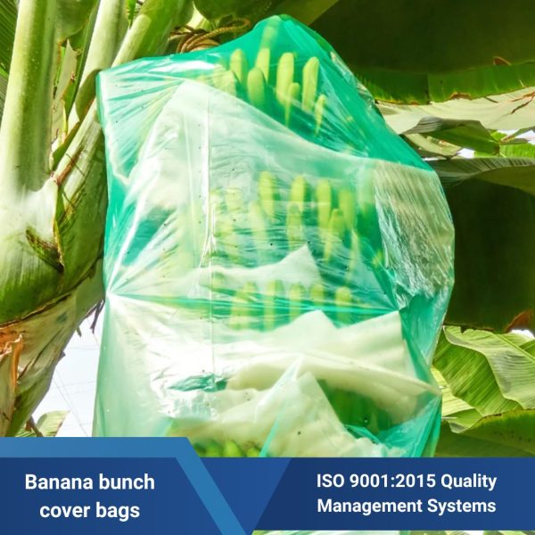 Banana bunch cover bags