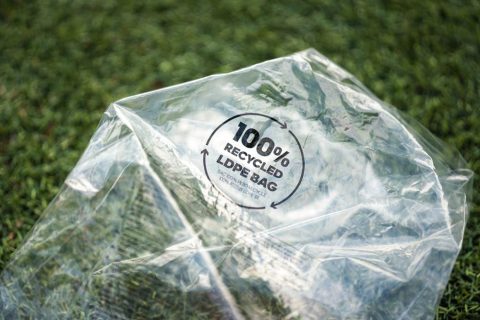 Túi nilon HDPE là gì? Ưu điểm và ứng dụng trong đời sống hằng ngày